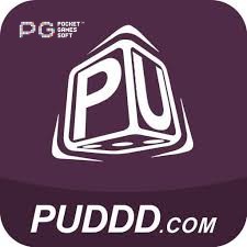 Imagem promocional da puddd destacando a plataforma e seus benefícios.